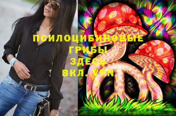 шишки Аркадак
