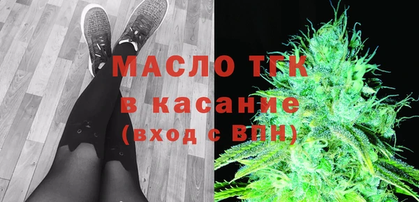 шишки Аркадак