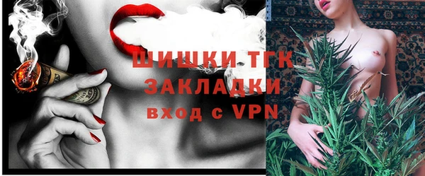 шишки Аркадак